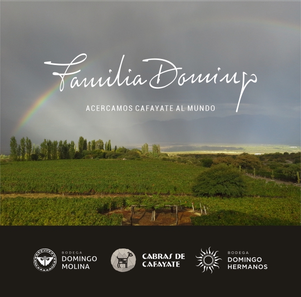 CONTACTENOS CUALQUIER INQUIETUD